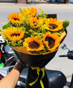 Hoa Tốt Nghiệp